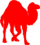 cmdt camel